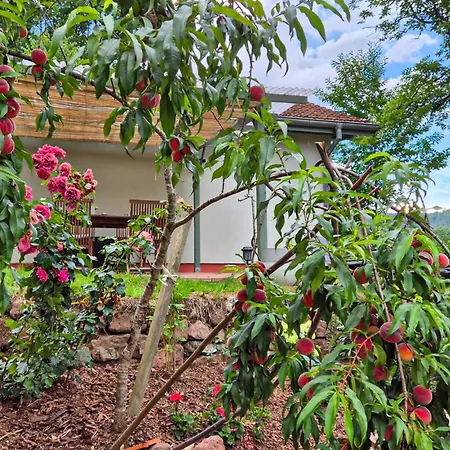 1 Bedroom Lovely In Casa de Férias *