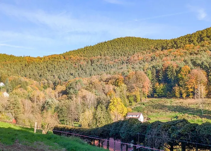 1 Bedroom Lovely In Windstein