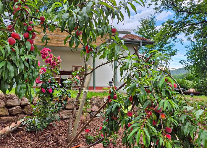 1 Bedroom Lovely In بيت للعطل *